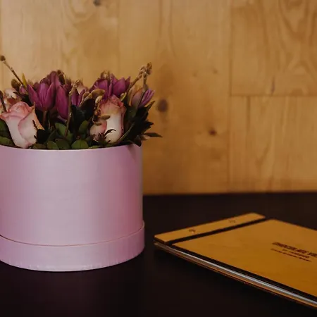 Luxury Glamping Chocolate Village *