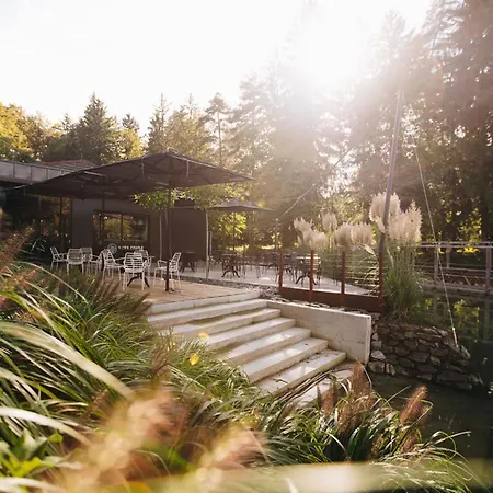 Luxury Glamping Chocolate Village
